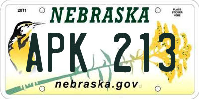 NE license plate APK213