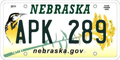 NE license plate APK289