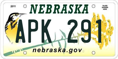NE license plate APK291