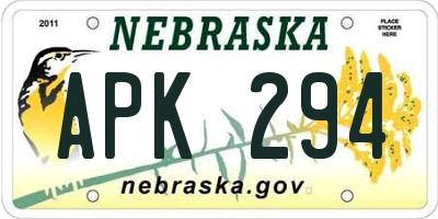NE license plate APK294