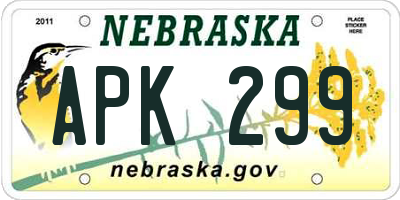 NE license plate APK299