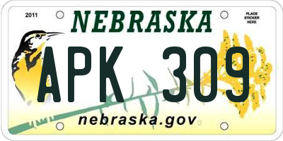 NE license plate APK309