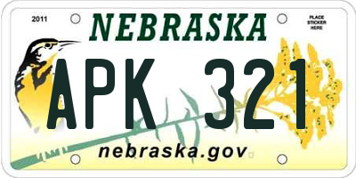 NE license plate APK321