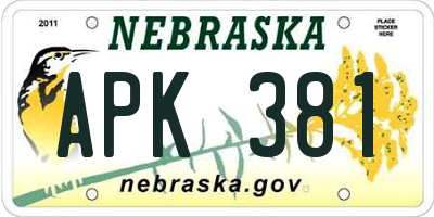 NE license plate APK381