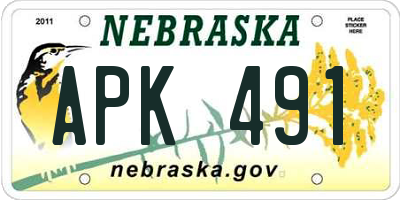 NE license plate APK491