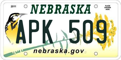 NE license plate APK509