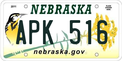 NE license plate APK516