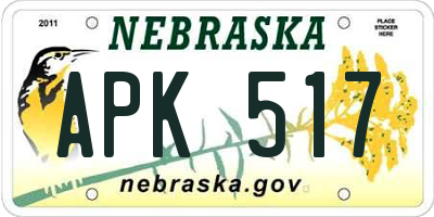 NE license plate APK517