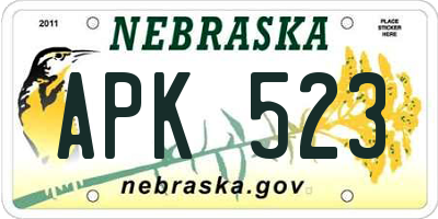 NE license plate APK523