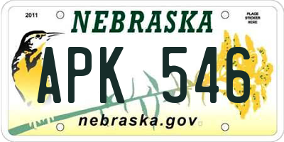 NE license plate APK546