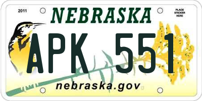 NE license plate APK551