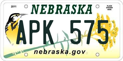 NE license plate APK575