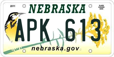 NE license plate APK613