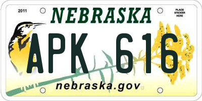 NE license plate APK616
