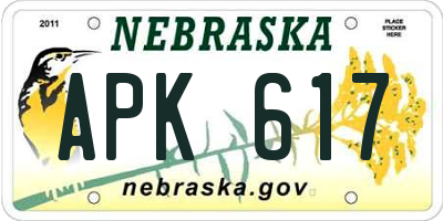 NE license plate APK617