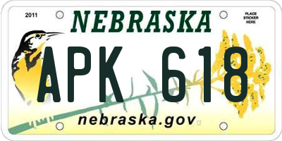 NE license plate APK618