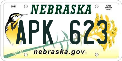 NE license plate APK623