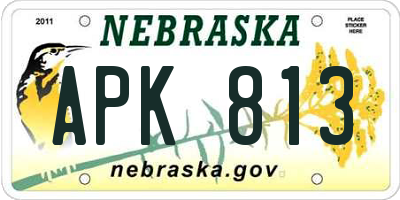 NE license plate APK813
