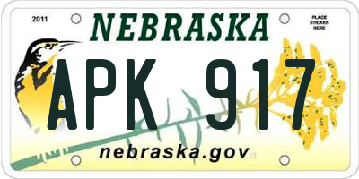 NE license plate APK917