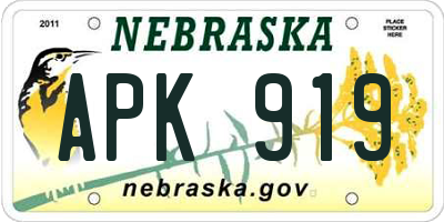 NE license plate APK919