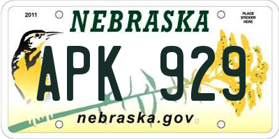 NE license plate APK929