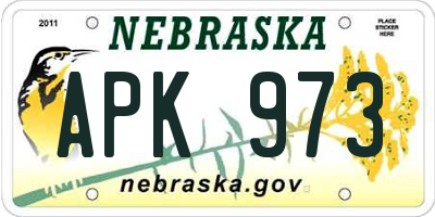 NE license plate APK973