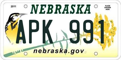 NE license plate APK991