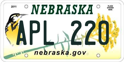 NE license plate APL220