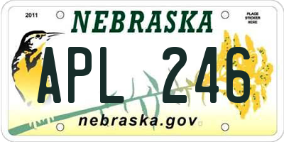 NE license plate APL246