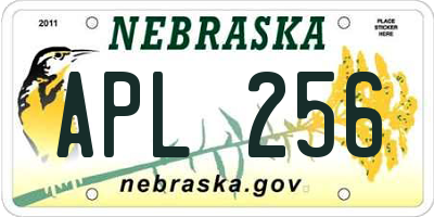 NE license plate APL256