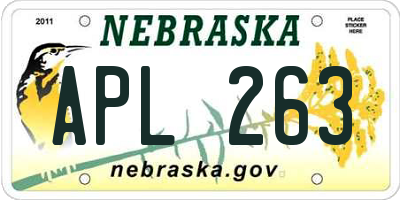 NE license plate APL263