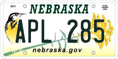 NE license plate APL285