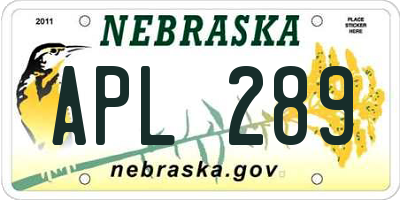 NE license plate APL289