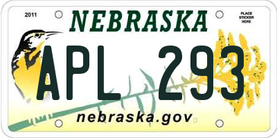 NE license plate APL293