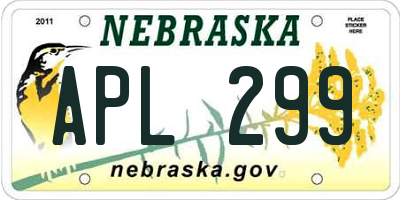 NE license plate APL299