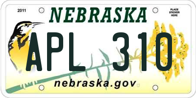 NE license plate APL310