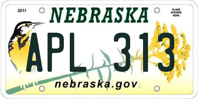 NE license plate APL313