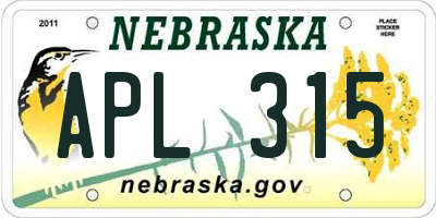 NE license plate APL315