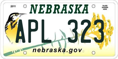 NE license plate APL323