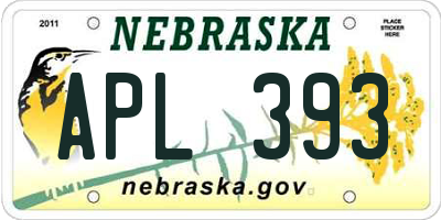 NE license plate APL393