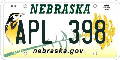NE license plate APL398