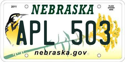NE license plate APL503