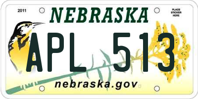 NE license plate APL513