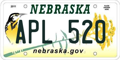 NE license plate APL520