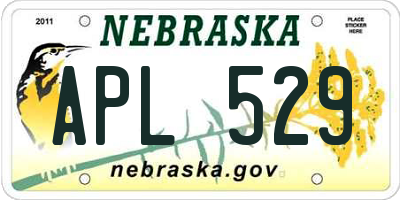 NE license plate APL529
