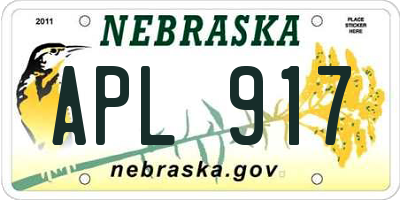 NE license plate APL917