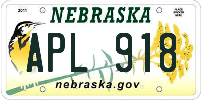 NE license plate APL918
