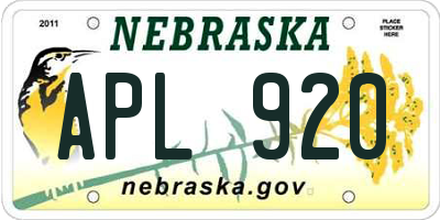 NE license plate APL920