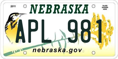 NE license plate APL981