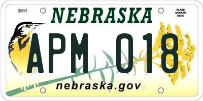 NE license plate APM018